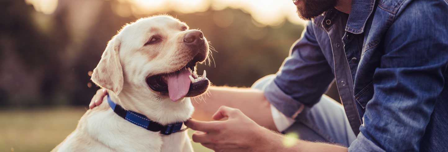 Dog medical outlet store near me